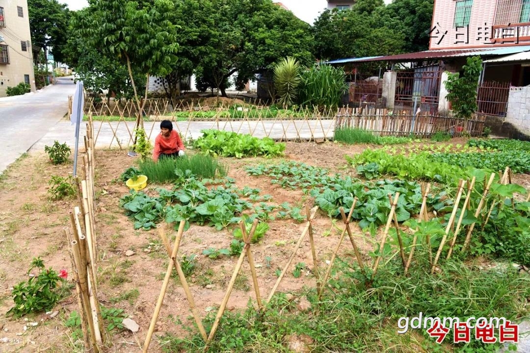 ΢��ͼƬ_20211117115102.jpg