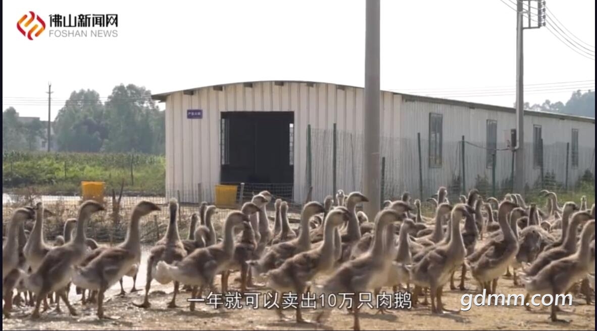QQ��ͼ20211025004209.jpg