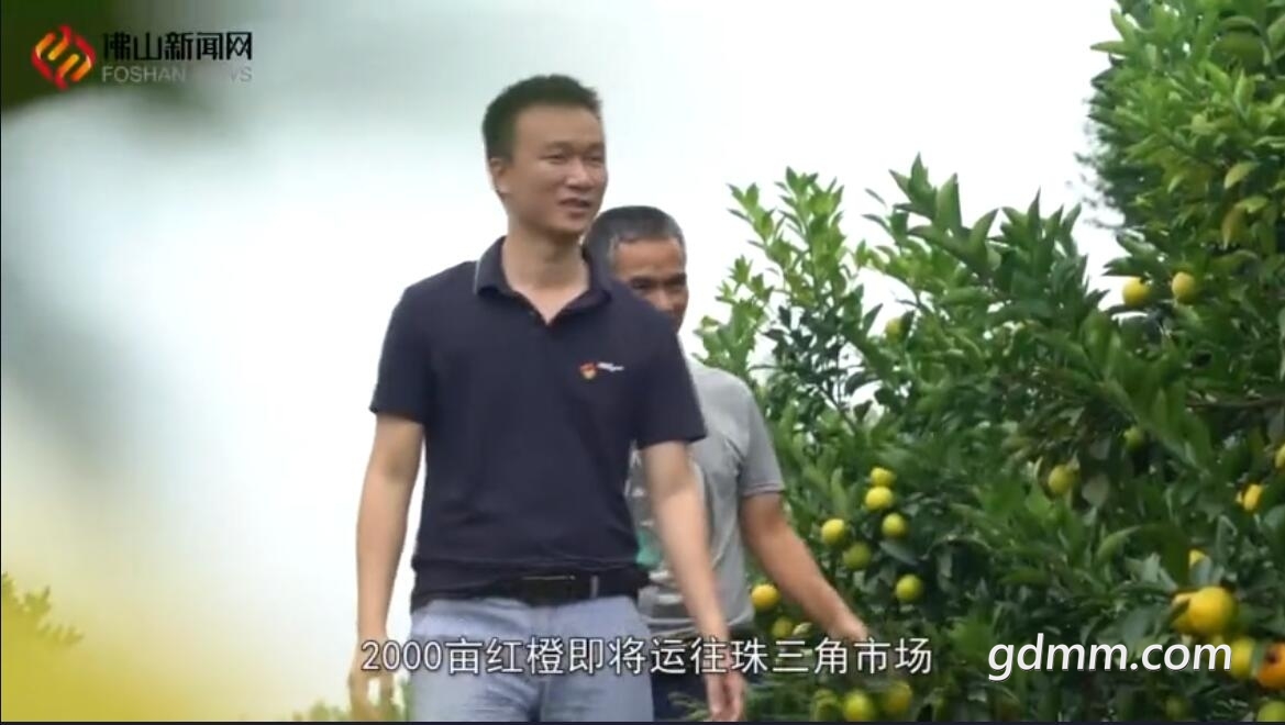 QQ��ͼ20211025003845.jpg