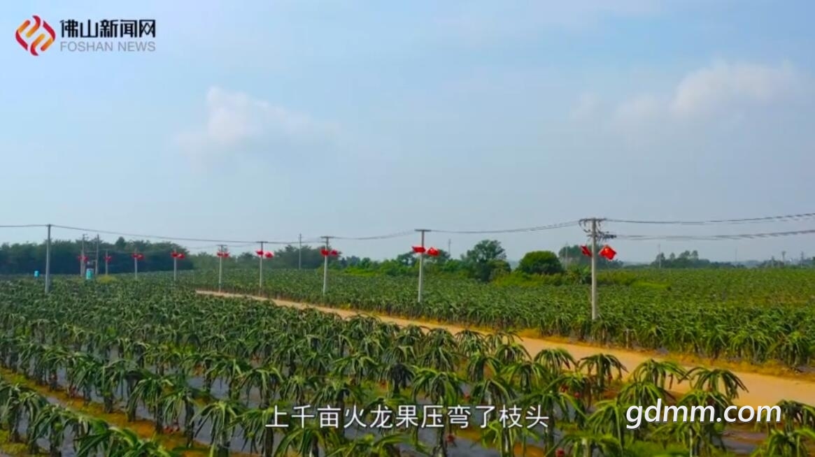 QQ��ͼ20211025003832.jpg
