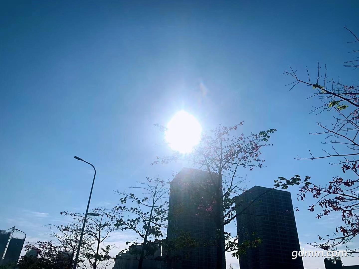΢��ͼƬ_20211124100129.jpg