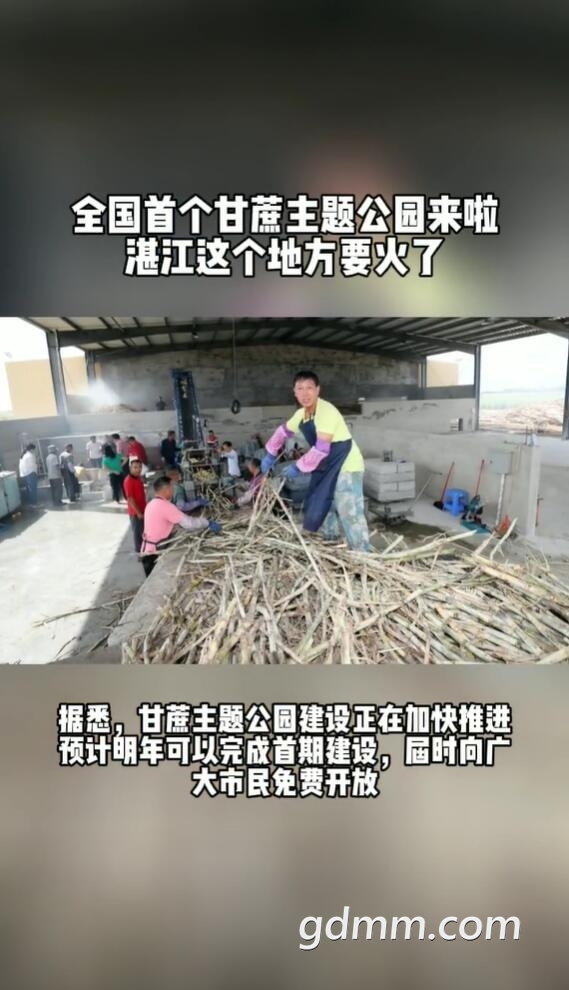 QQ��ͼ20211125174806.jpg