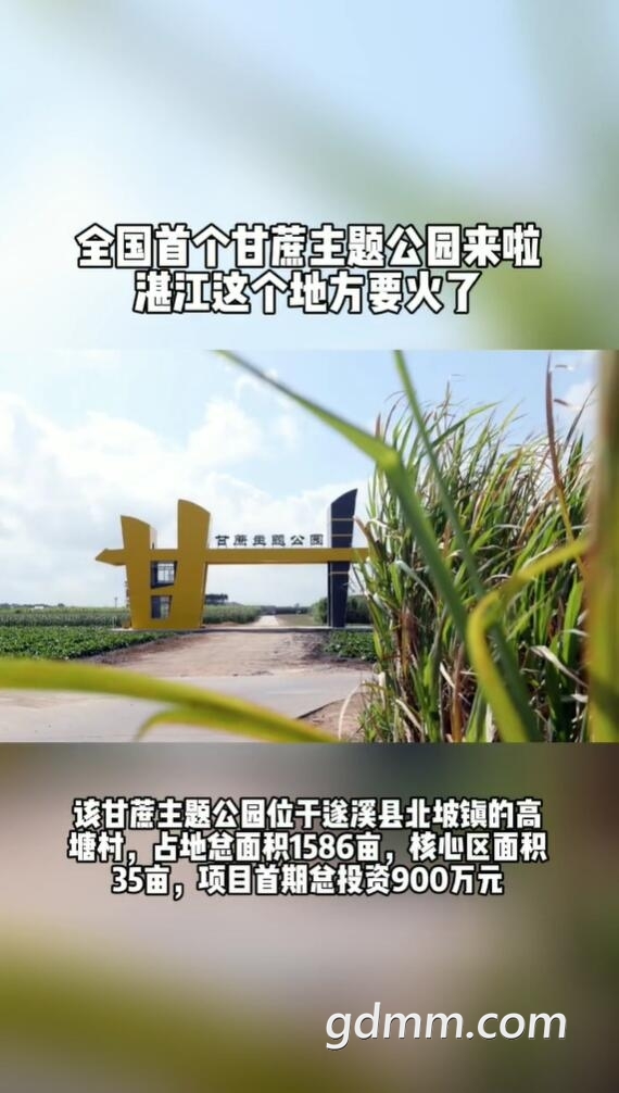 QQ��ͼ20211125174752.jpg