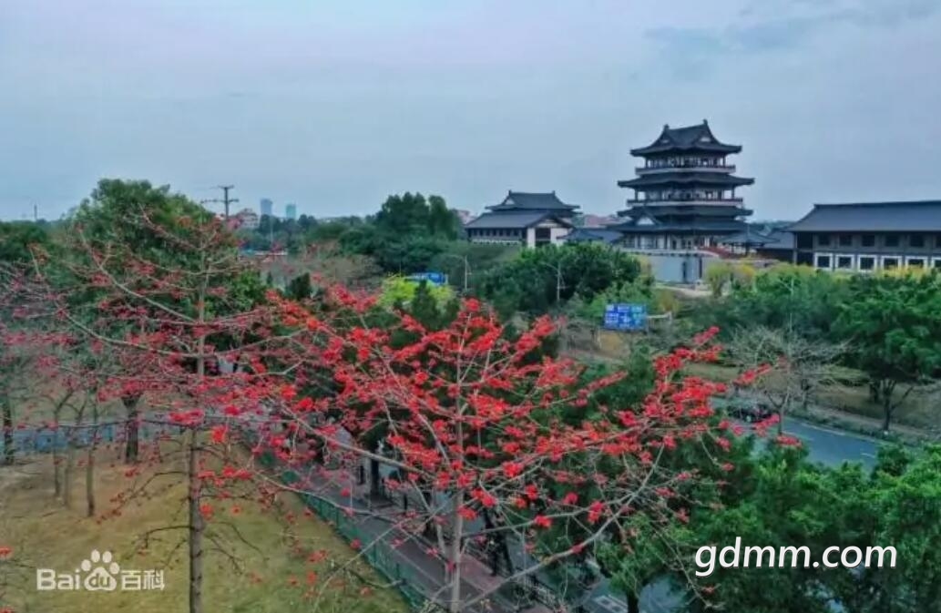 QQ��ͼ20211128200814.jpg