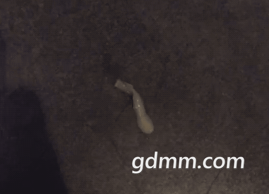 ΢�Ž�ͼ_20211202100330.png