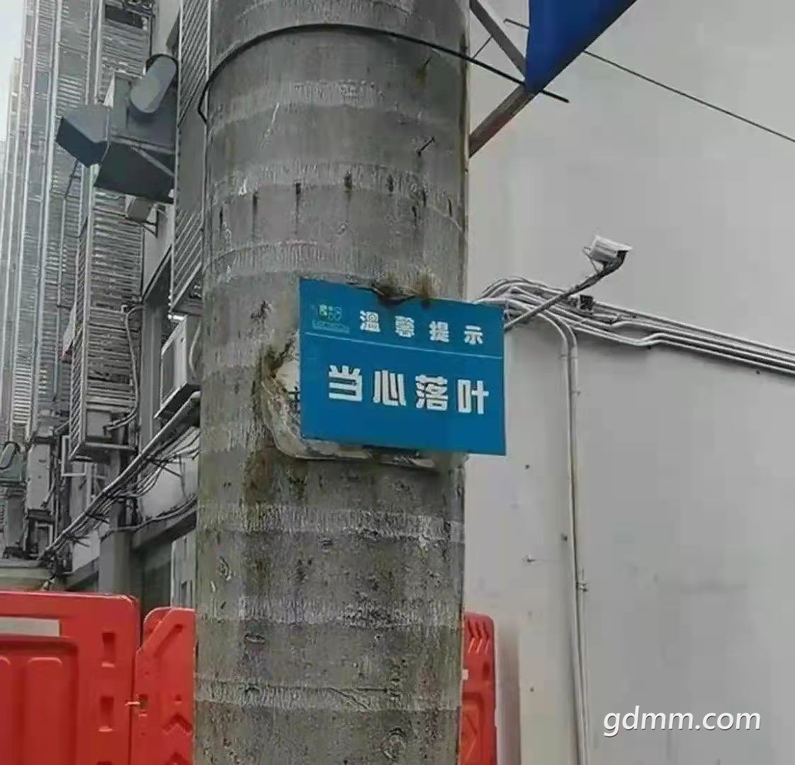 236.jpg