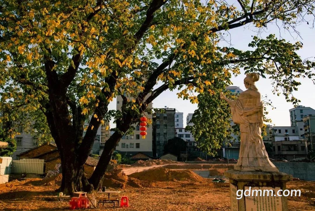 ΢��ͼƬ_20211228081448.jpg