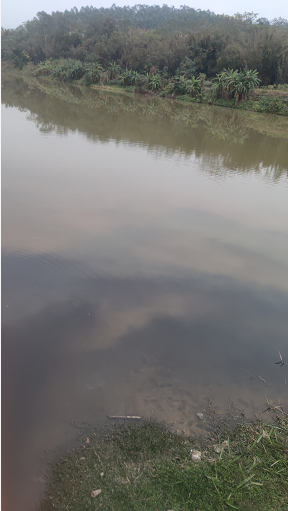 ΢��ͼƬ_20220101175935.png