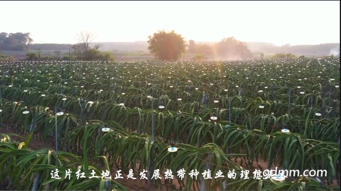 QQ��ͼ20211226202241.jpg