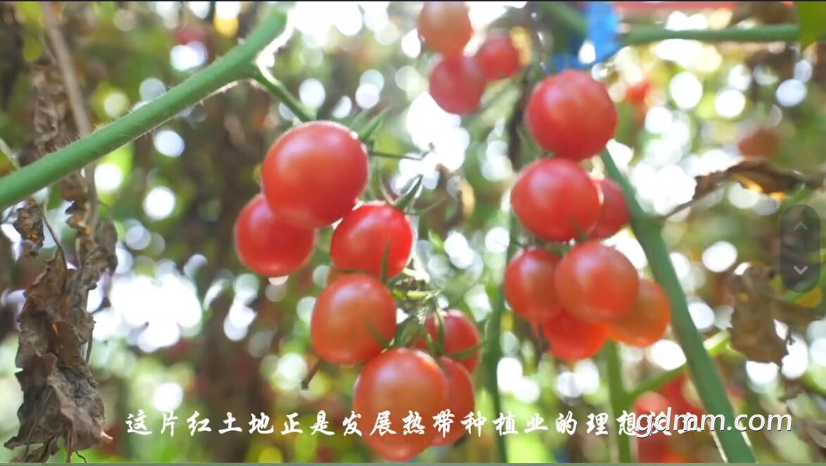 QQ��ͼ20211226202228.jpg