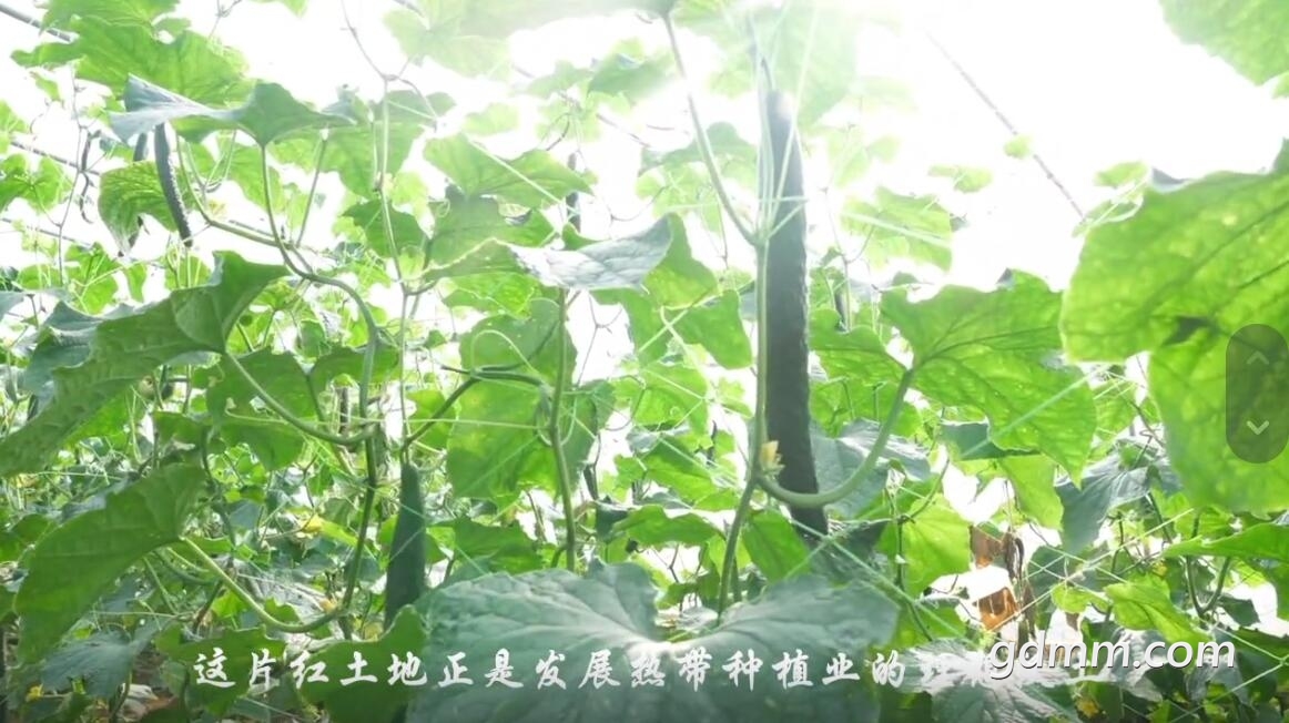 QQ��ͼ20220105234347.jpg