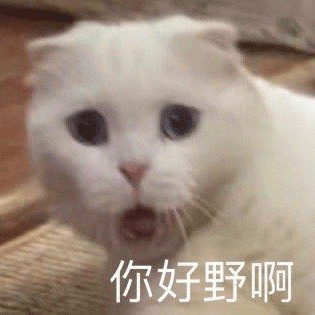 105525rrhcclcrqhikojc5.gif