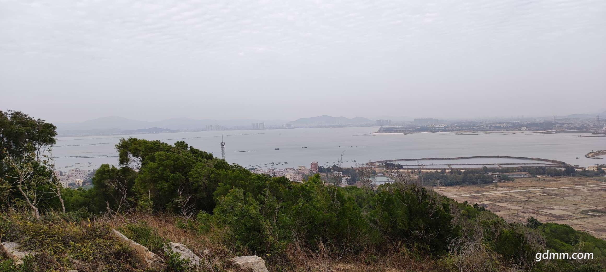 20220121183122front2_0_3356931_FqBoym-rm0vMXSmGROcDURRPMbyK.jpg