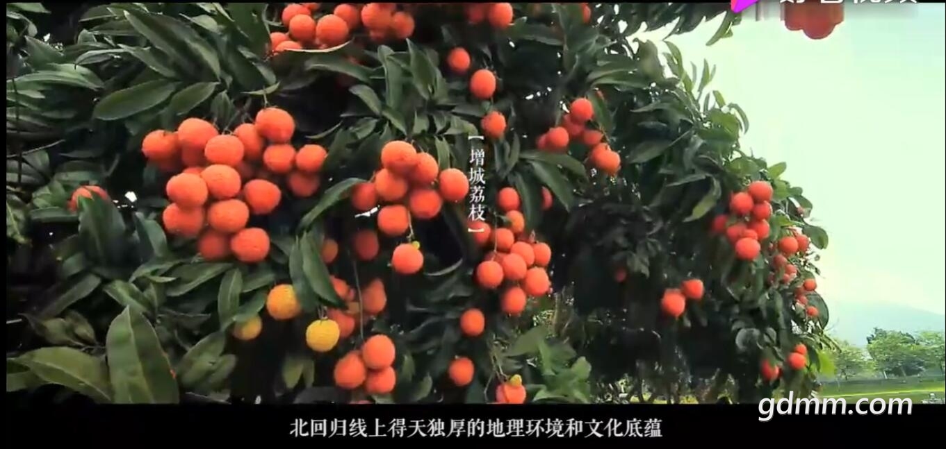 QQ��ͼ20220123140026.jpg