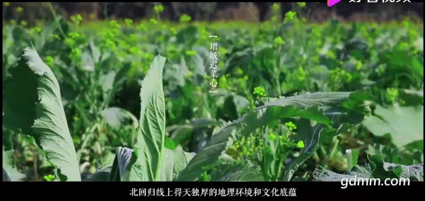 QQ��ͼ20220123140005.jpg