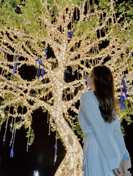 092047r72xroeoe27sdky2.gif