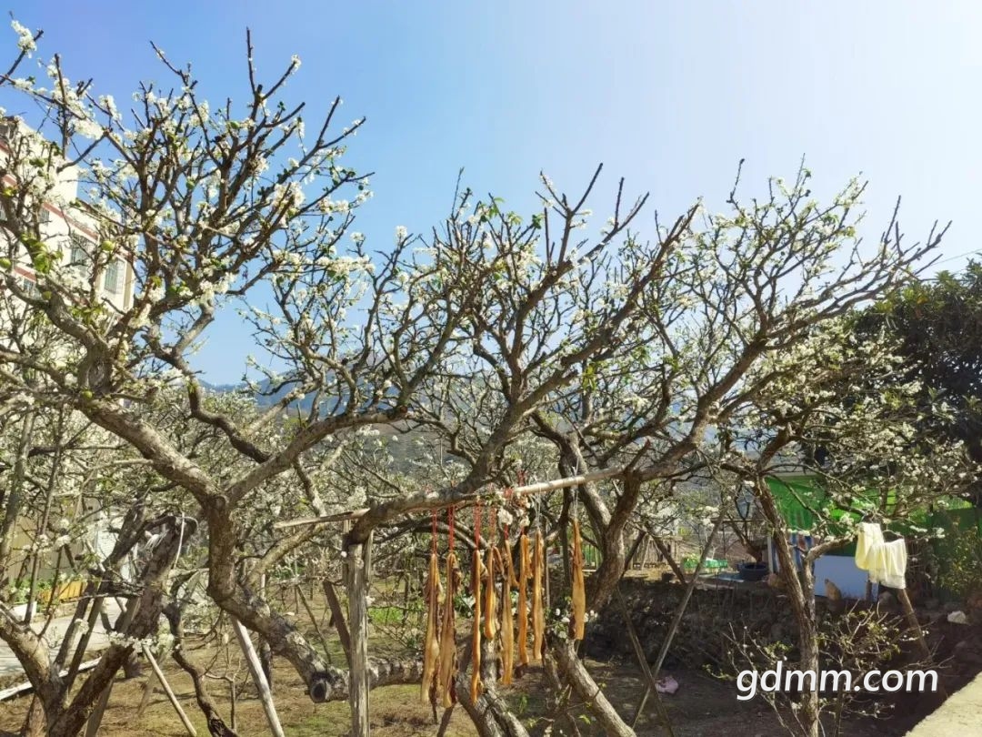20220130110917front2_0_3344001_FgT5uvnotlXCsh7t5t2gcFGo_eWY.jpg