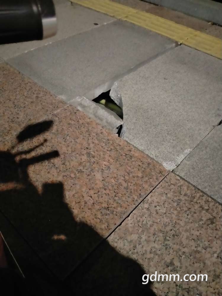 20220207022116front2_0_3338067_Fl8vZKwbtdhvArARlLGWbMnBJ970.jpg