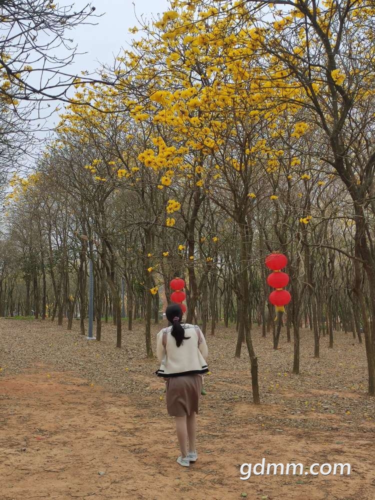 20220216150633front2_0_3277540_FoQJuNREIwUQi0UJVLoH9D_ERNS-.jpg