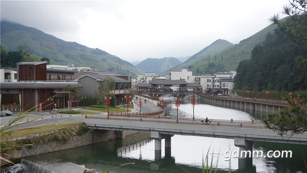 DSC03943.jpg