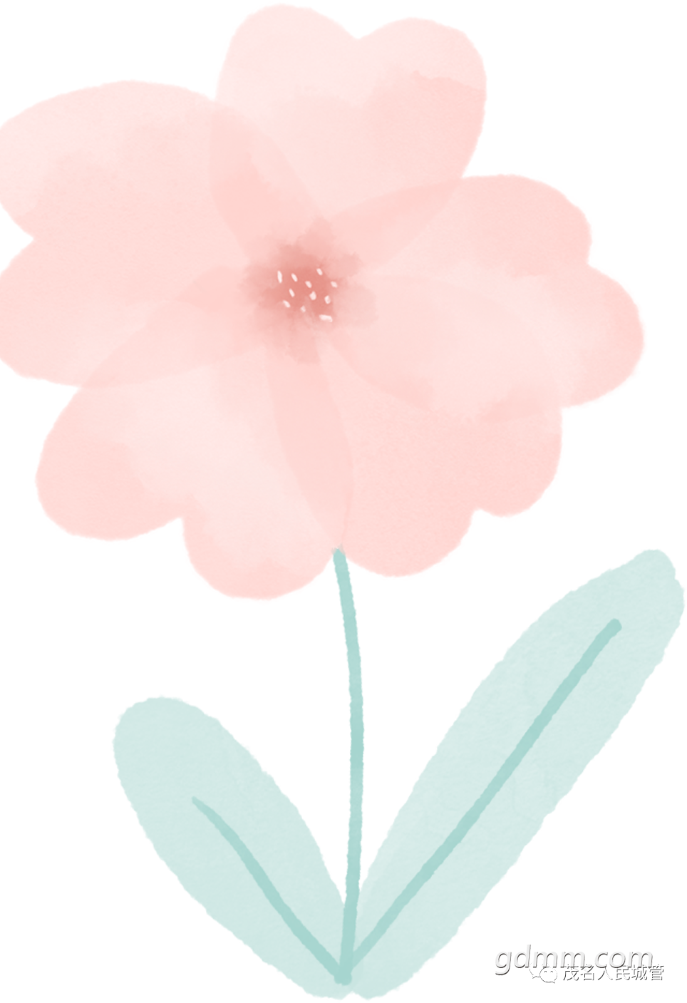 172109fxyby9b9sb97xyyb.png