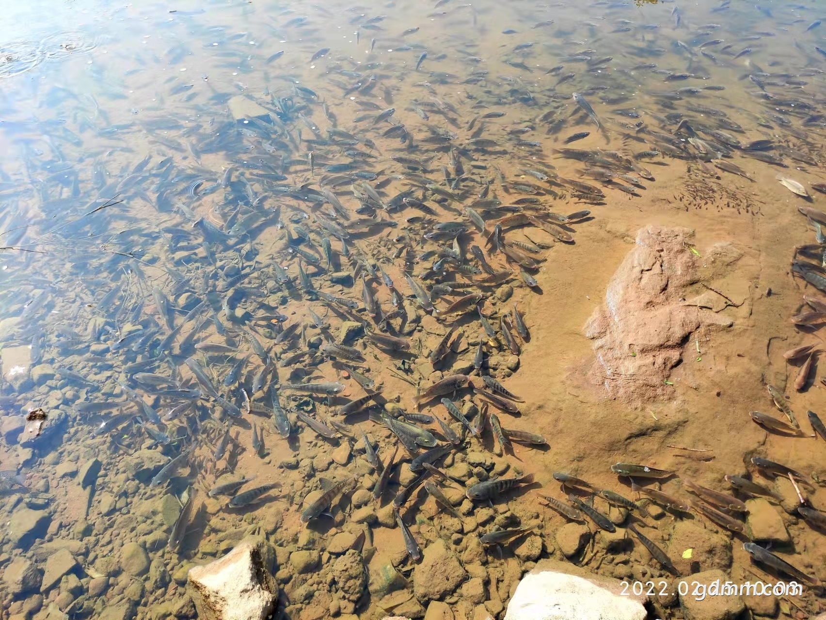 ΢��ͼƬ_20220225112307.jpg
