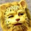 20220228102458front2_0_3367567_FmV91aMgOS6JORKIMBtghKY0Wscd.jpg