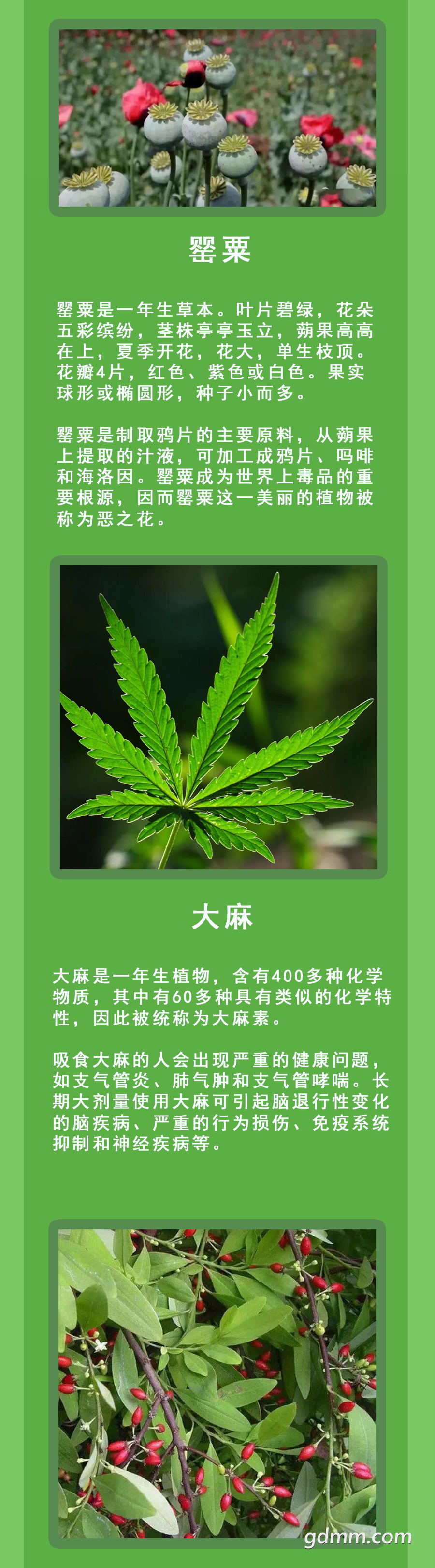 092421kxwssb9tsstppjtj.png