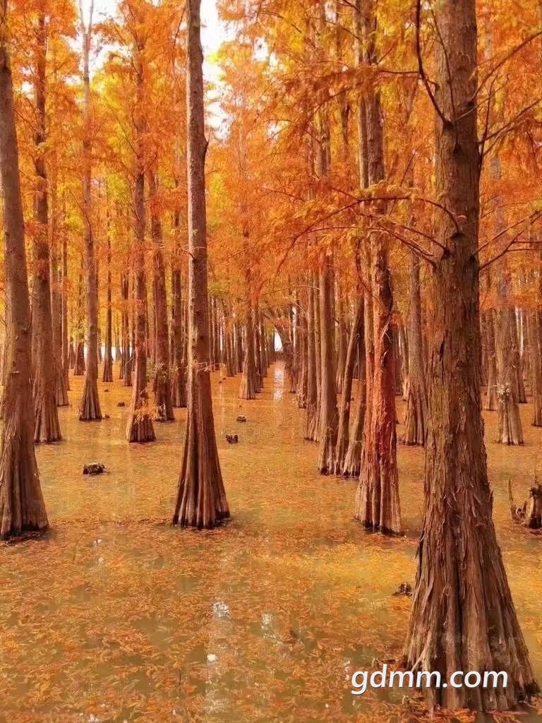 ΢��ͼƬ_20220302094627.jpg