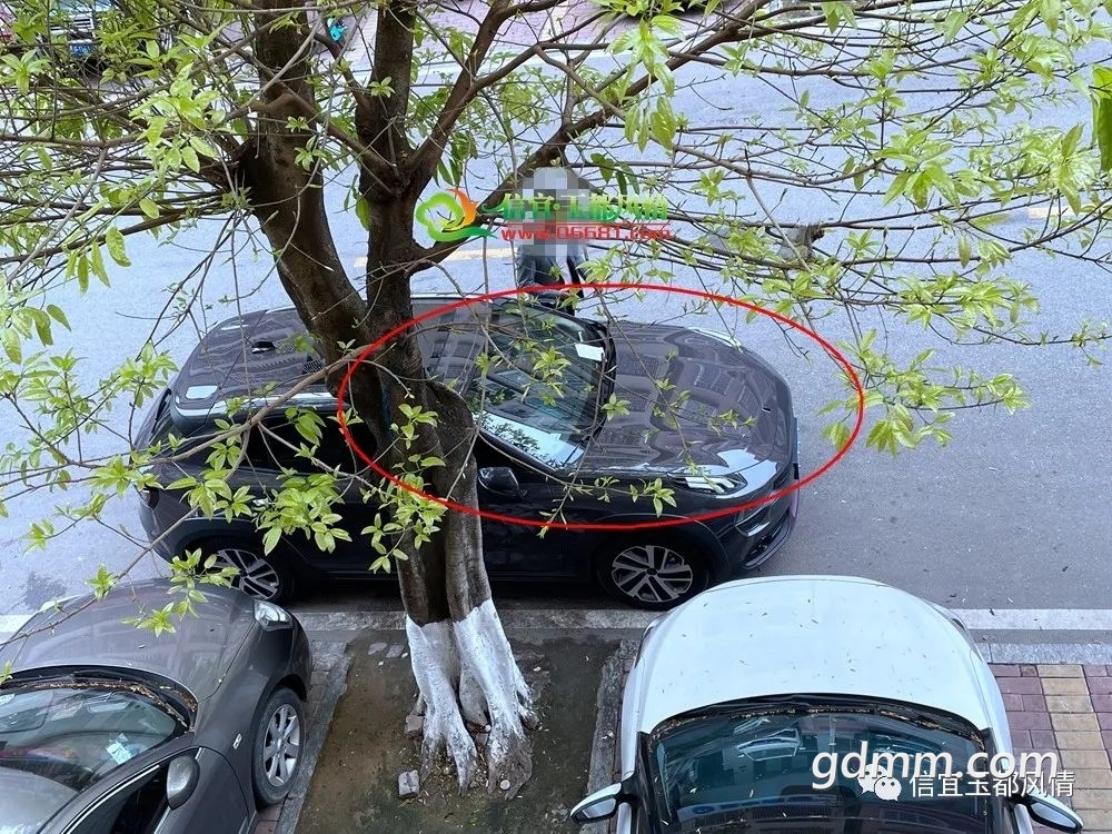 ΢��ͼƬ_20220302100806.jpg