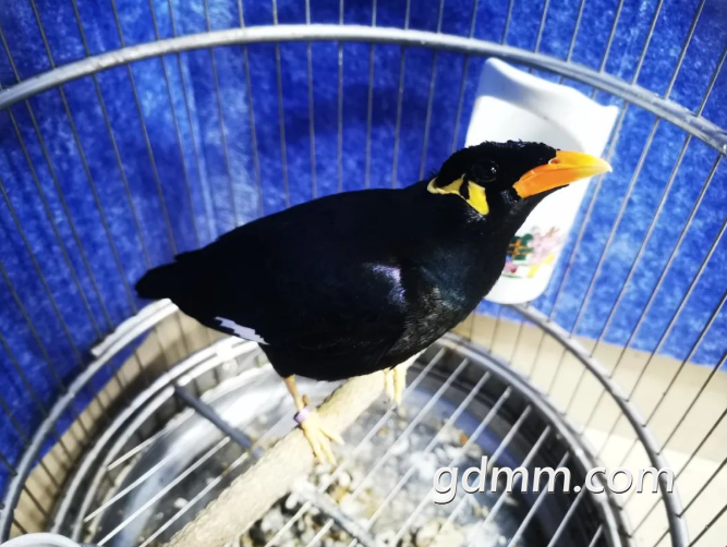 ΢�Ž�ͼ_20220302145118.png