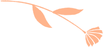 152429po7vjcj1jehiceve.png