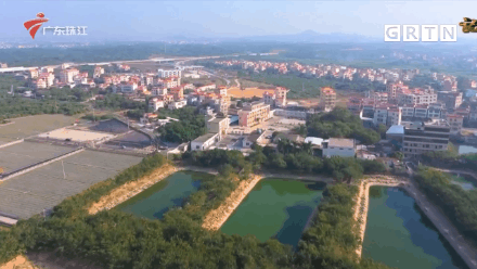165447il4040pxzrjjl1wf.gif