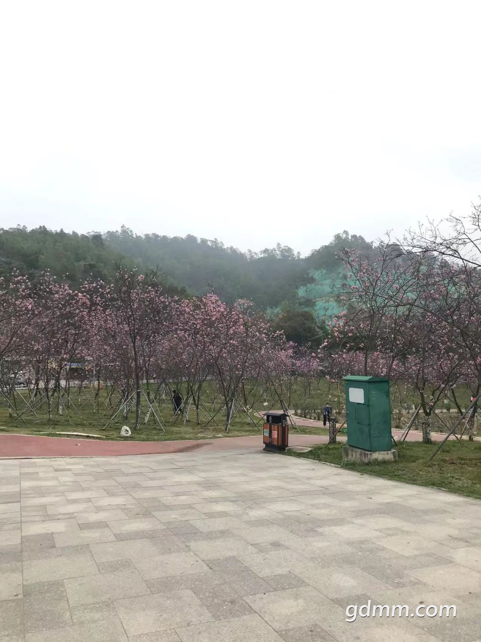 20220315102210front2_0_3295069_FuaumGUkDHQqCU9RxhEYg4nE7F67.jpg