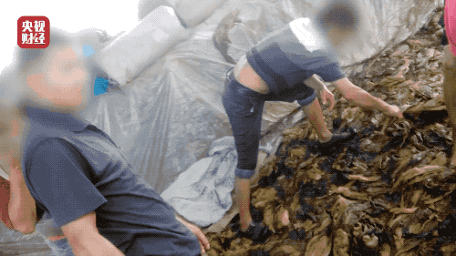 d26a0ccb5ac783c7c15f77b38cce2447.gif
