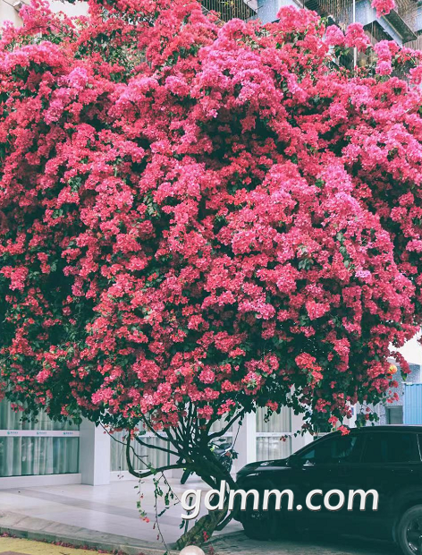 ΢�Ž�ͼ_20220321112355.png