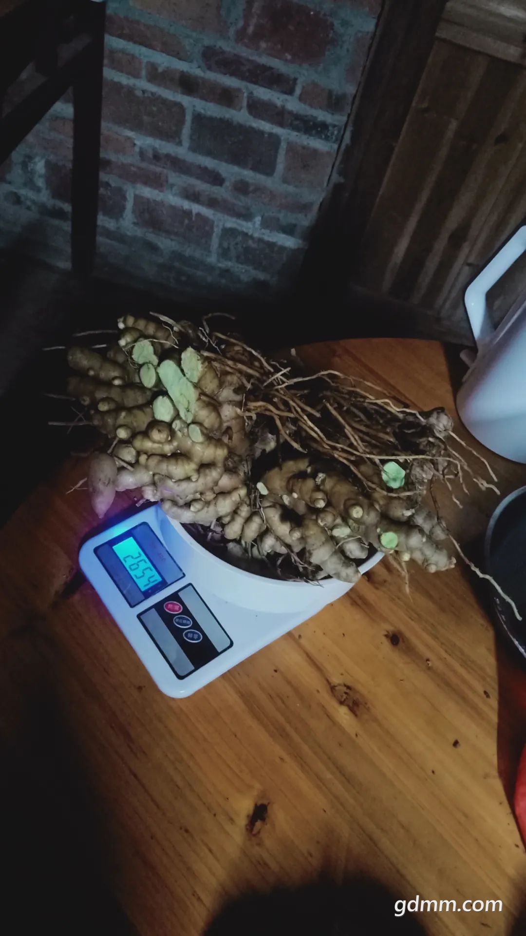 170952yupycmzcpxpm915x.jpeg