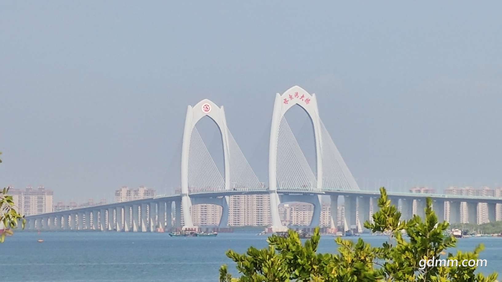 20220329191948front2_0_3269714_Fo-CCLcDzxotiabW2ZOX_nsQOzGU.jpg
