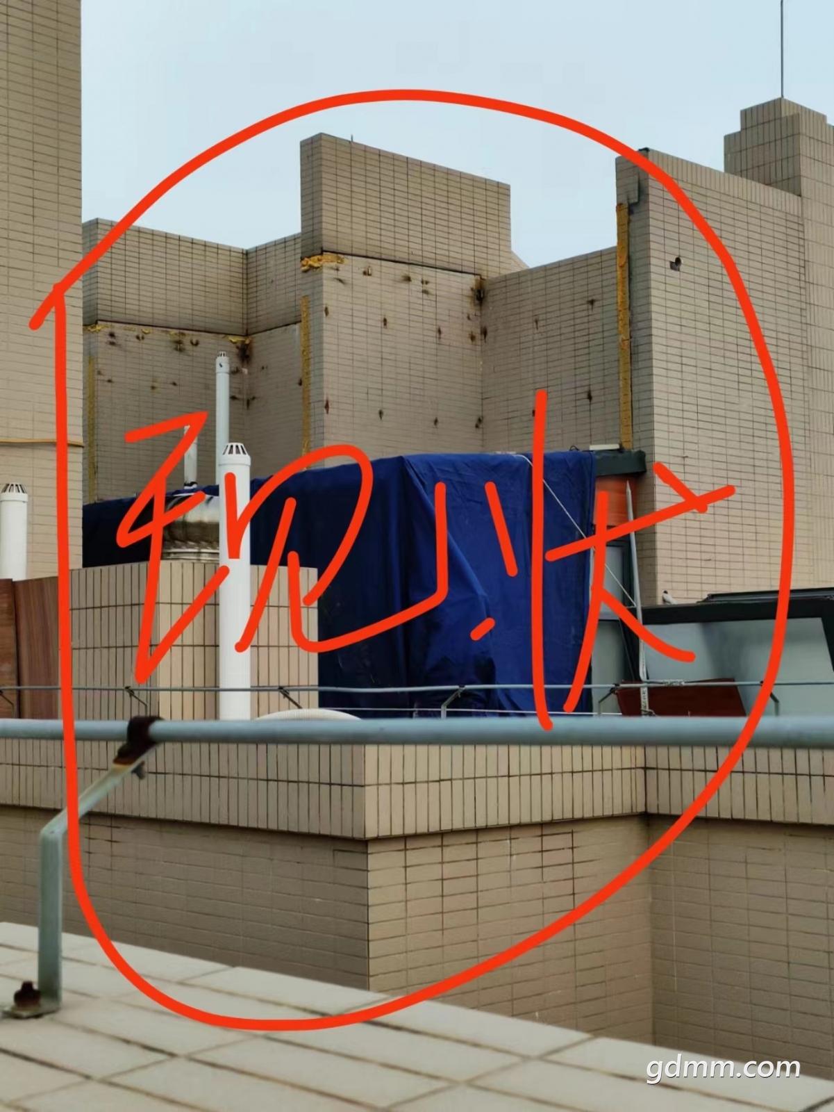 �ٴν���������ִ�����Ų���