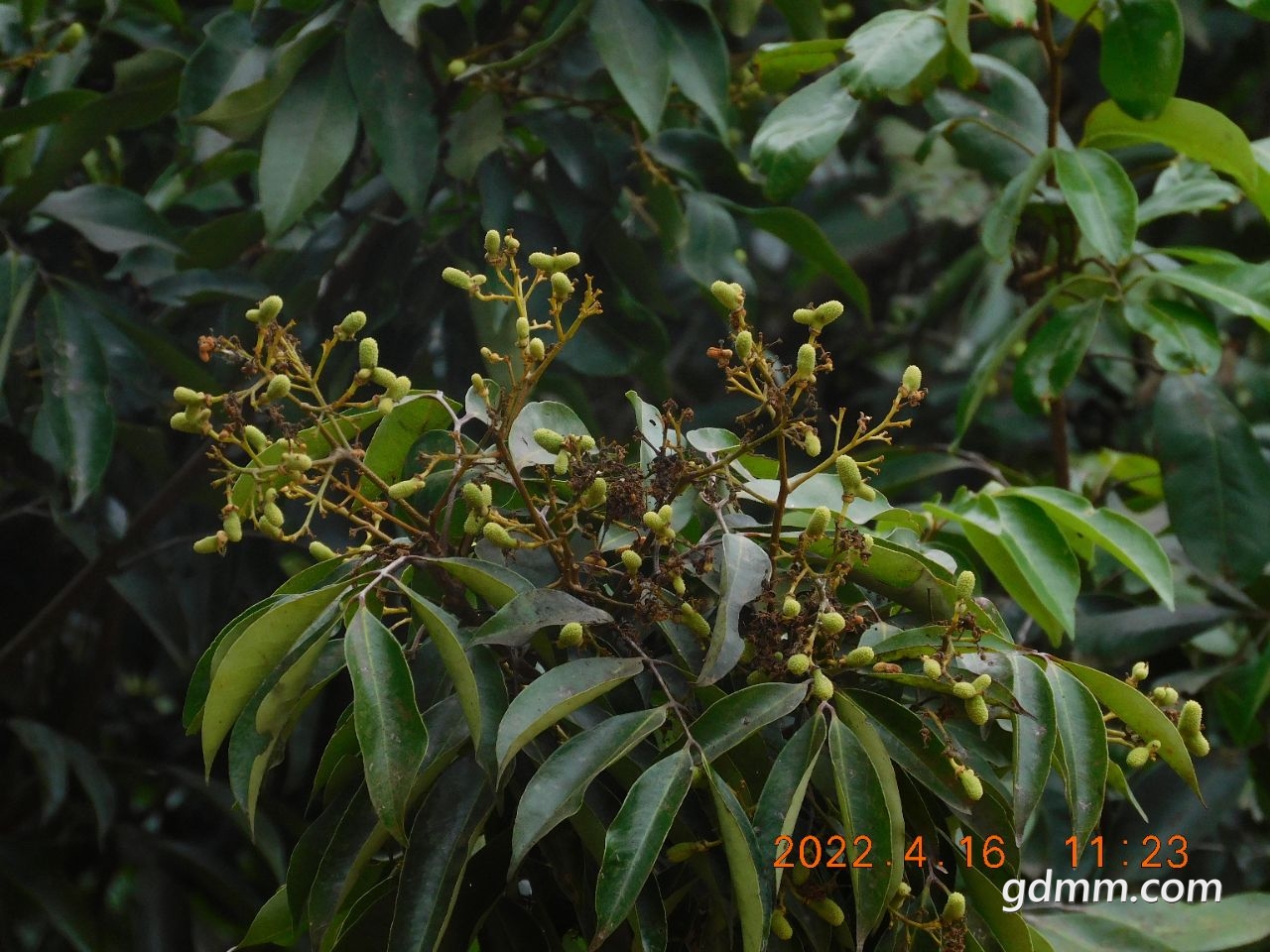 20220416133508front2_0_3377019_FtX2ZuirY8KMjKRtQVzjQUtbVQj_.jpg