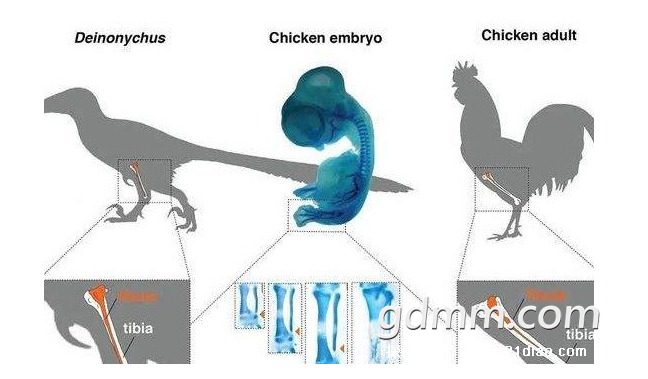 ΢�Ž�ͼ_20220419145030.png