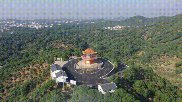 105053c1y41yj9sqjpamyg.gif