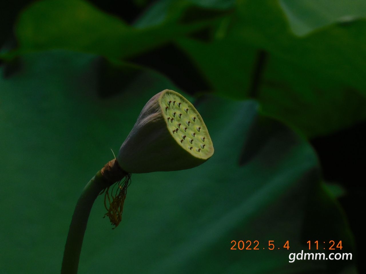 20220504130313front2_0_3377019_FsV4uEM2NjeNkbG4uHsSl4uzHnWy.jpg
