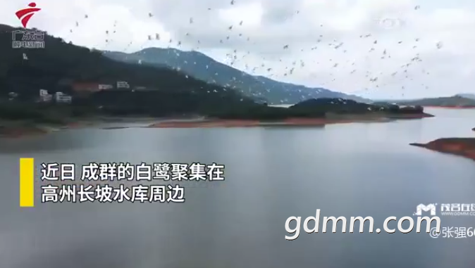 ΢�Ž�ͼ_20220506163854.png