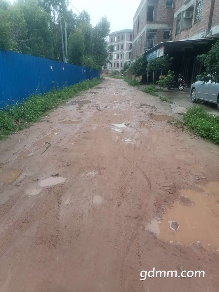 20220512095508front2_0_3285000_FkPhuRxM3pP49TOuMo3sNqEdbZOC.jpg
