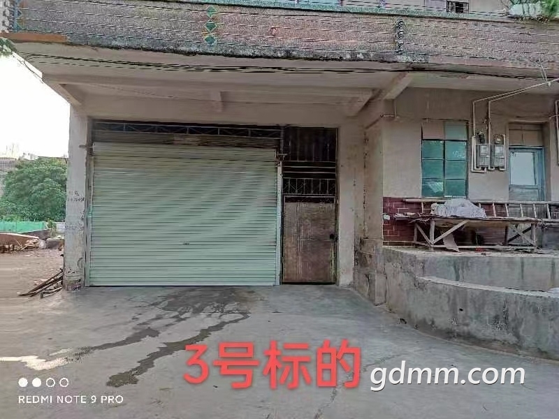 1032881 (3).jpg
