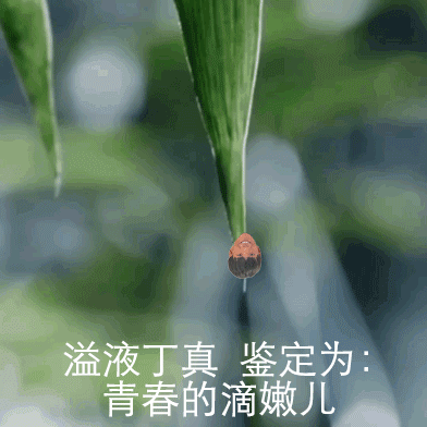20220602103513front1_0_3341987_FhH9W9xalKfqsDTflXiBHwWIZl8S.gif
