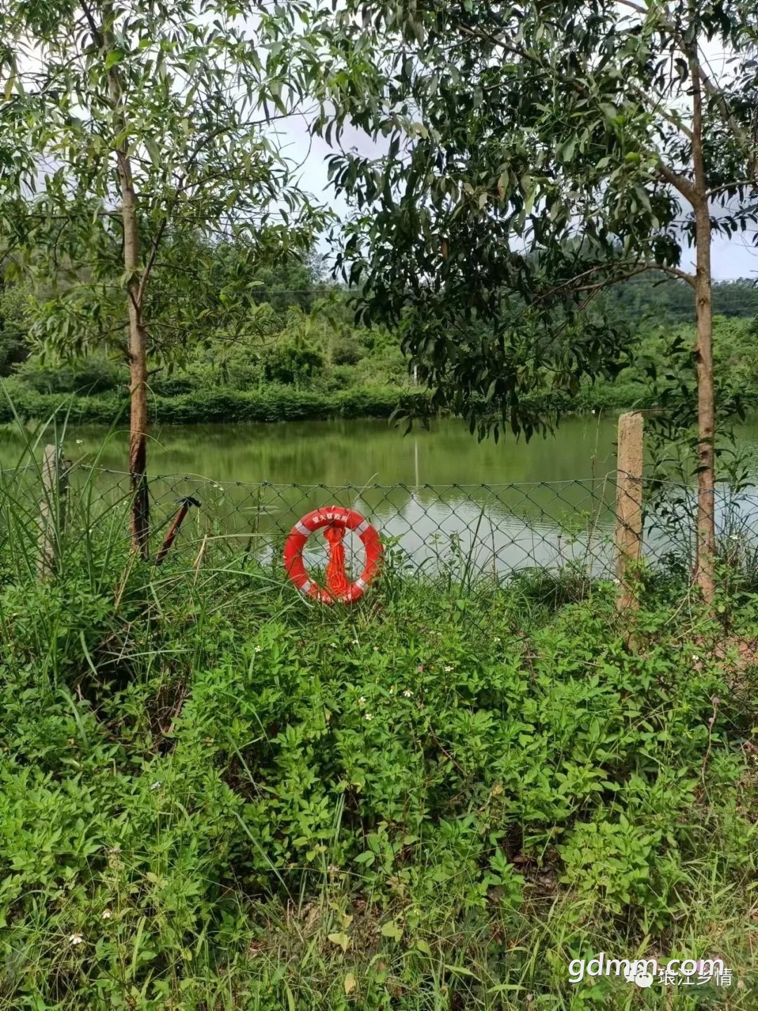 ΢��ͼƬ_20220626113859.jpg