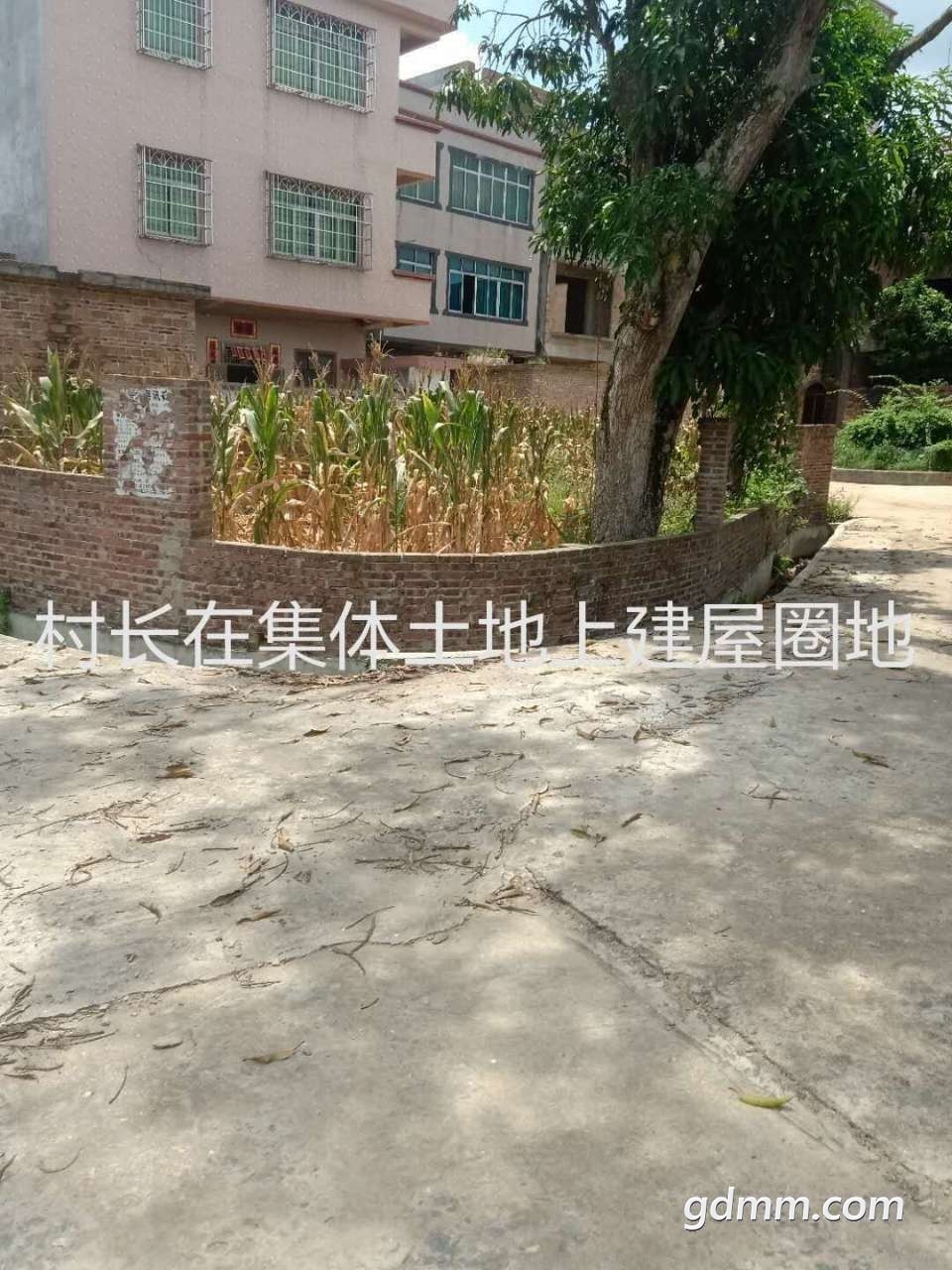 20220701202632front2_0_3287271_FnqigJ7ihT5T9Dmq7kYSf2W2J1fj.png