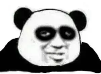 173510ly7qoy2xf5xnhfxq.png